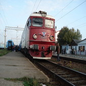 iubitzel29